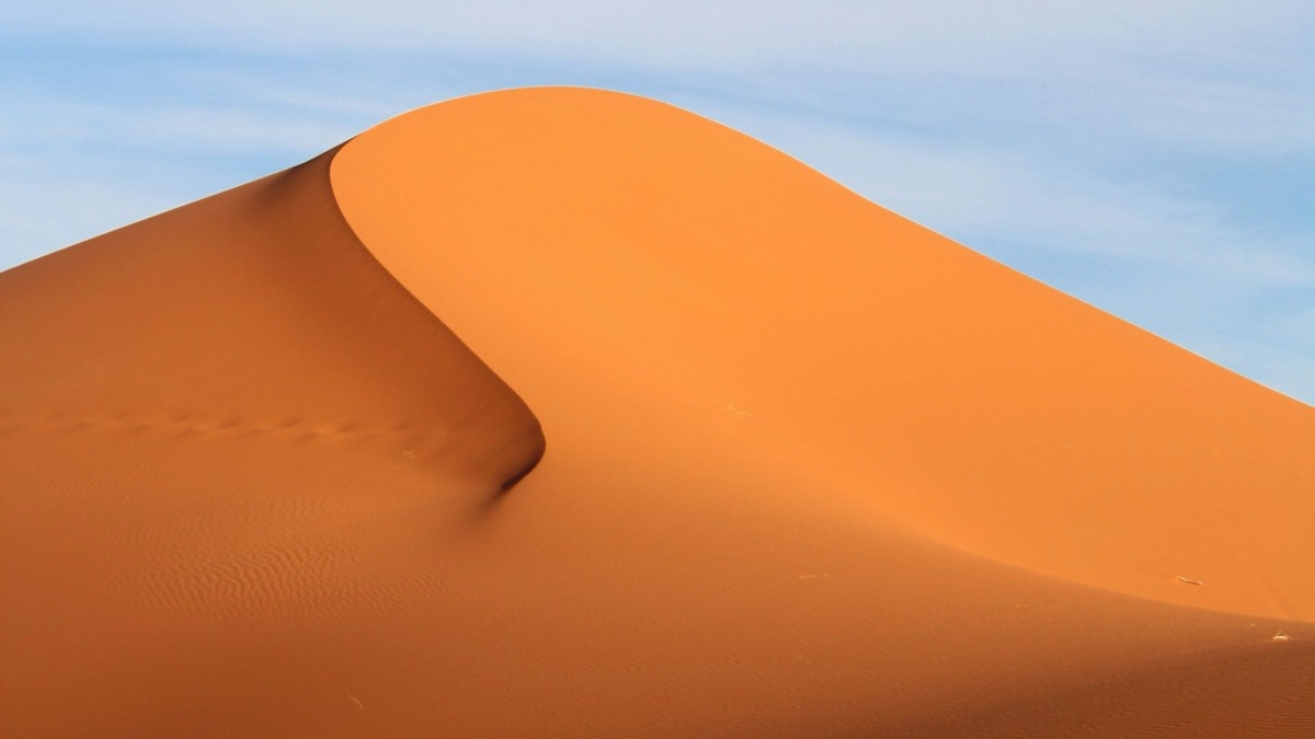 5 Hot Facts About Our Planet's Deserts