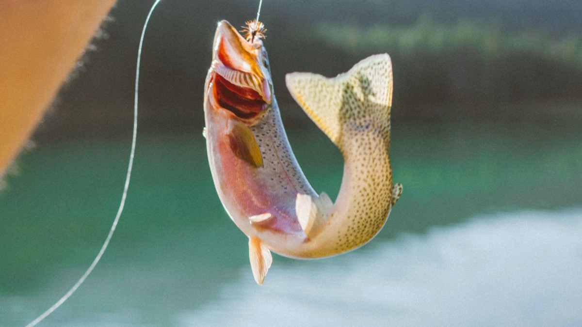 5 Ways To Pass The Time While Fishing